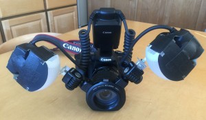 Canon 40D with MP-E 65mm and MT-24EX