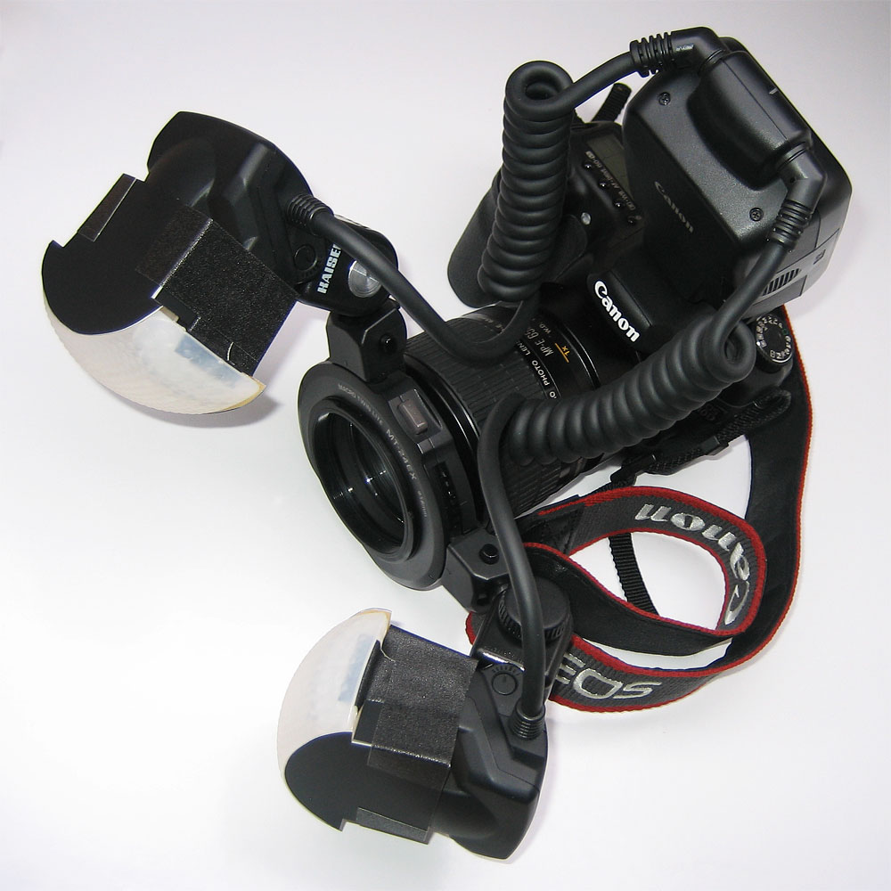 Canon 40D with MP-E 65mm and MT-24EX